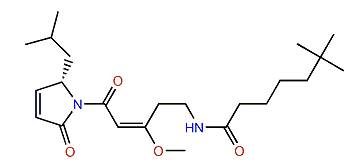 Ypaoamide B